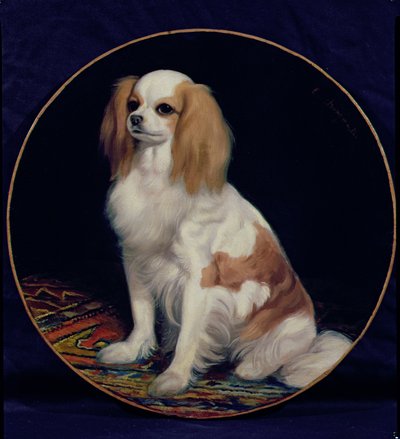 King Charles Spaniel by Charles Emile Callande de Champmartin